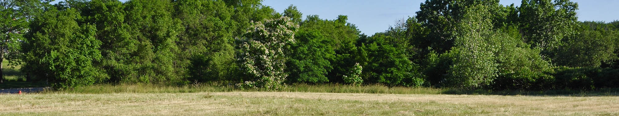 Land Wanted